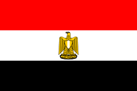 Egypt In Revolt : Al Jazeera Shut Down By Egyptian Gov.