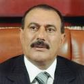 25 January 2012