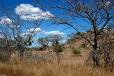 Kruger National Park - Wikipedia, the free encyclopedia