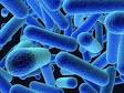 LISTERIA Recall: Cuajada en Terron | Food Poison Journal