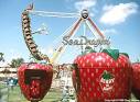 The STRAWBERRY FESTIVAL (photo 2)