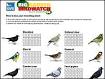 BBC NEWS | UK | UKs bird watching event begins