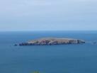 Cardigan Island (Welsh: Ynys Aberteifi) is a small, uninhabited island lying - via Daymix