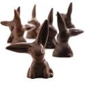 Chocolate Bunnies | bunnylicious