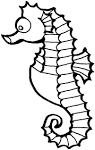 Seahorse coloring page