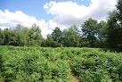 There was a major Canadian Camp here during WWI. - via Daymix
