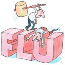  Flu and Cold Zapper or Spring Allergies 