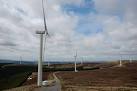 It is run by the E-on energy - via Daymix
