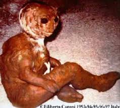 images?q=tbn:ANd9GcQ2dPoeH1CXQWge6lAqxYKXuexUw4baSEjuVZQhNWewenPRQEgX1A