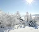 myLot Photos - WHITE CHRISTMAS