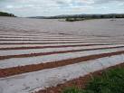 Frost protection that will break down under UV rays I suppose but this one - via Daymix
