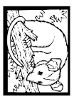 Possum coloring page