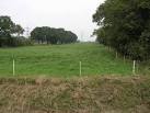 the ditch in the foreground is a nylon fence and a little electricity. - via Daymix
