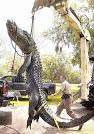 Weiss gator..is this true??