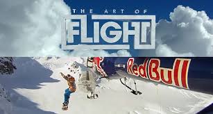 the art of flight