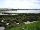 New salt marsh. My 2004 edition of Memory-Map shows a continuous river bank - via Daymix