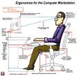 Zohreh's Blog: Ergonomics part 1