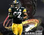http://freefootballwallpapers.com/wallpapers/james_harrison_wallpaper.jpg