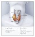 MyThyroid.com: Thyroid Nodules