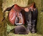 Tack Guru | Expert advice about English Tack