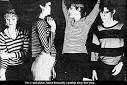 Bush Tetras