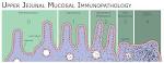 File:Coeliac Disease.png - Wikipedia, the free encyclopedia