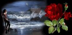 http://t2.gstatic.com/images?q=tbn:ANd9GcQ5S_qiUgN9J7AyRkeLnjssPLAXTYivySZWXltmonub-dV2OK4CW_2vVqoA
