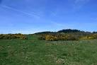 NS7986 : Banks of Broom. 3 km from Dunipace, Falkirk, Great Britain - via Daymix