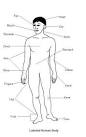 Body Parts and Their Verbs English Language Blog