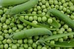 <b>Petits pois</b>