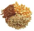 Cook's Thesaurus: Grains Category