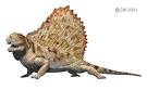 Dimetrodon - Natural History And Fossils