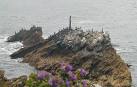 Shag Rock, St Anthony Head - via Daymix