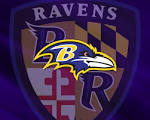 raven nfl