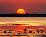 Nature's Best: Sunset Photography