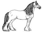 Equestrian coloring page