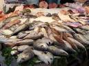 Fish Markets | Food Safety Net