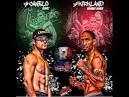 Saul Canelo Alvarez vs. James Kirkland Official - YouTube