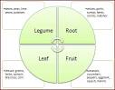 Garden Crop Rotation - A Simple System | Better Hens and Gardens
