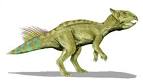 Cerasinops - Dinosaurs Reference Library - redOrbit