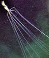 Cephalopod size - Wikipedia, the free encyclopedia