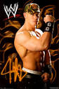 Does WWE Suck or Is WWE Awesome?