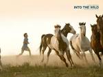 Into the Wild