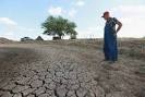 Dunya News: Business:-US DROUGHT INTENSIFIES IN KEY FARMING STATES ...