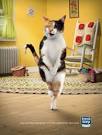 Fresh Step: Cross-legged cats, 3 | Ads of the World