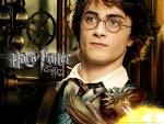 Harry Potter plagiarism lawsuit could be billion-dollar case, says ... - Goblet-of-Fire--Harry-harry-potter-35199_1024_768