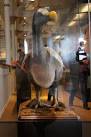 a matter of conjecture, - via Daymix