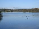 The Great Lake, Castle Howard - via Daymix