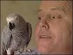 Peter Taylor said Merlin ran up and down his legs when the fire started - _41477684_parrot2_bbc203