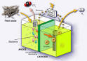 Breakthrough for bacterial hydrogen production